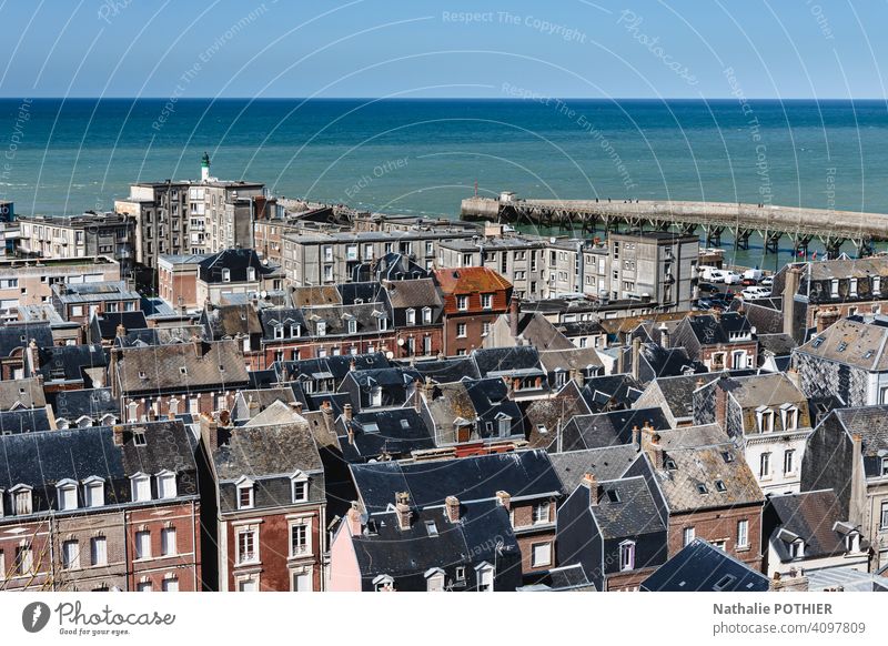 View of Le Tréport, a seaside town on the Albatre coast in France harbor ocean maritime top view house pier horizon panorama blue travel water Ocean landscape