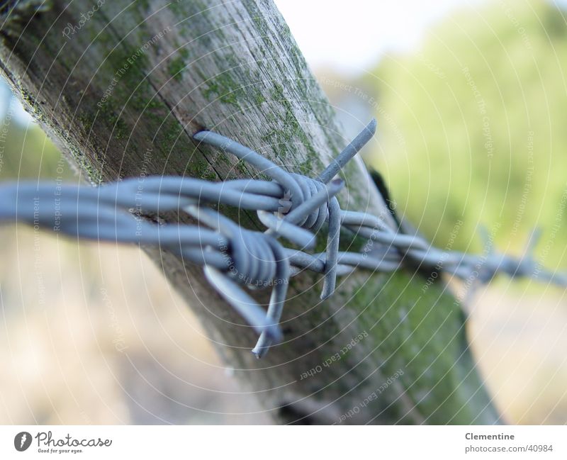 unattached Fence Barbed wire Border Obscure Graffiti Pole Close-up