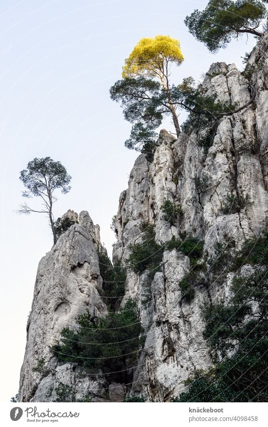 En-Vau Calanque CALANQUES Cassis Mountain Mediterranean sea coast Rock Vacation & Travel Tourism Landscape Nature Southern France