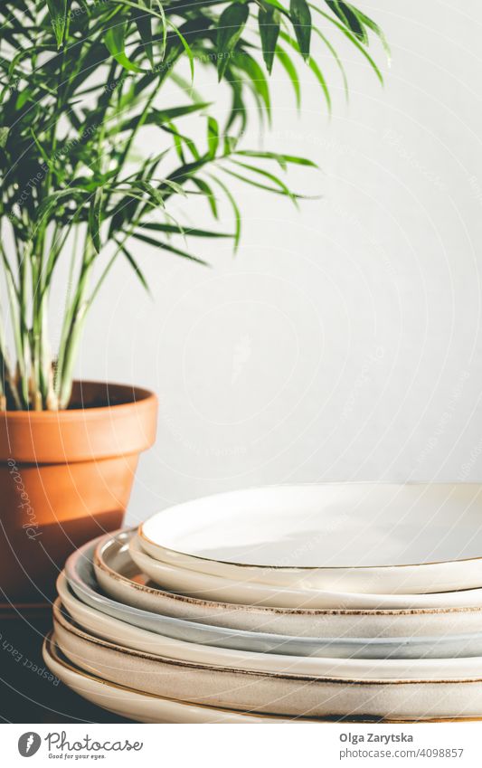 Stack of ceramic plates and houseplant. dish table stack clay pot white wall many minimal crockery tableware Chamaedorea green home flower