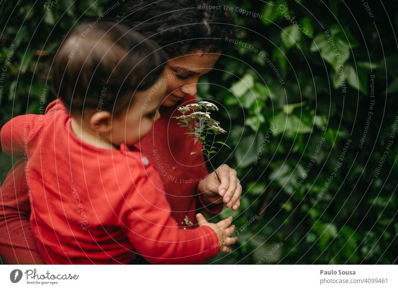 Mother with Son smelling flower Woman Mother's Day motherhood Child Caucasian Flower Spring Foliage plant Authentic Family & Relations Park people Together