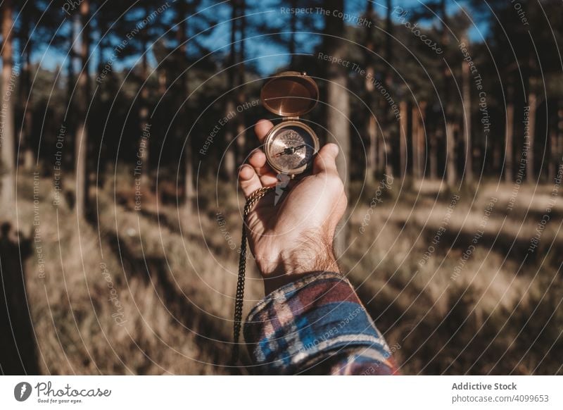 Tourist carrying compass while standing in forest tourist modern evergreen tree woods chilly cold plaid shirt hand adult autumn season man travel hiker