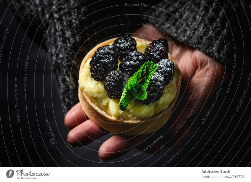 Hand holding a blackberry tartlet food cake cream homemade pie delicious fruit organic pastry dessert fresh sweet isolated blueberry gourmet vanilla