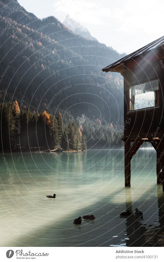 House on stilts on lake near mountains house boat wooden reflection nature travel water landscape sky scenery view tourism vacation clouds holiday adventure