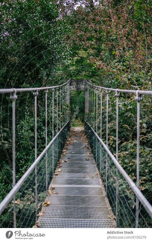 Hanging metal bridge through bushy forest footbridge hanging suspension cross ravine adventure extreme travel nature journey jungle green tourism landscape way