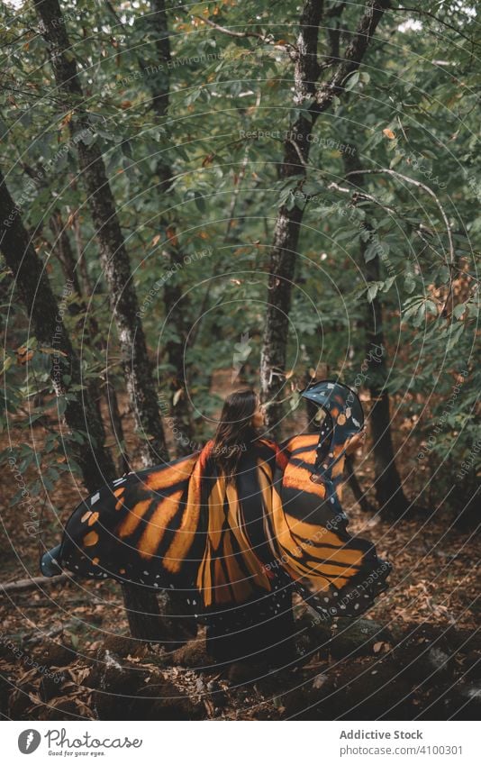 Woman in butterfly costume in forest woman dance wing cape tree nature hill female tender elegance graceful bug insect imitation lush foliage slope apparel