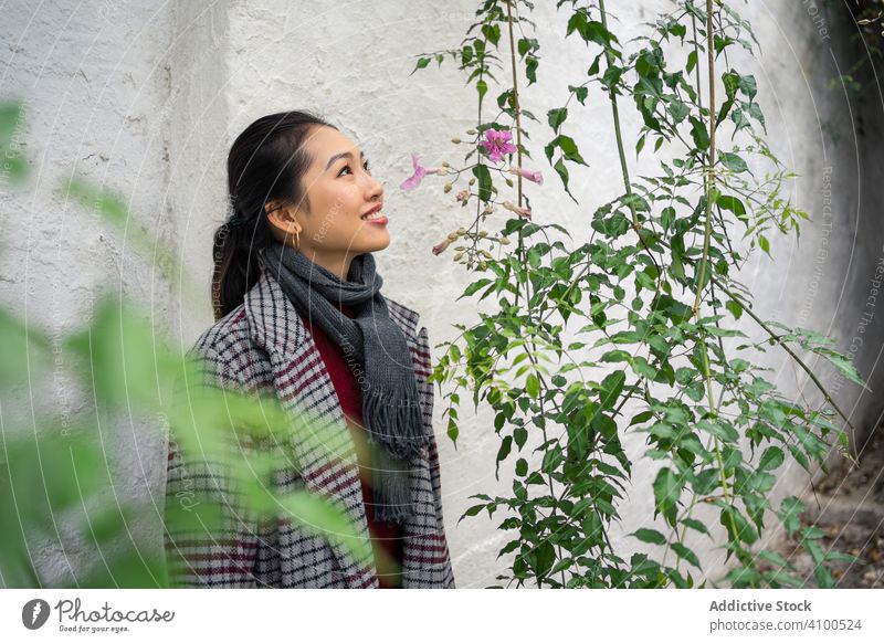 Young female in casual clothing touching green plants and smiling at rocked lane woman tourist travel walk city street path explore smile alley delight enjoy