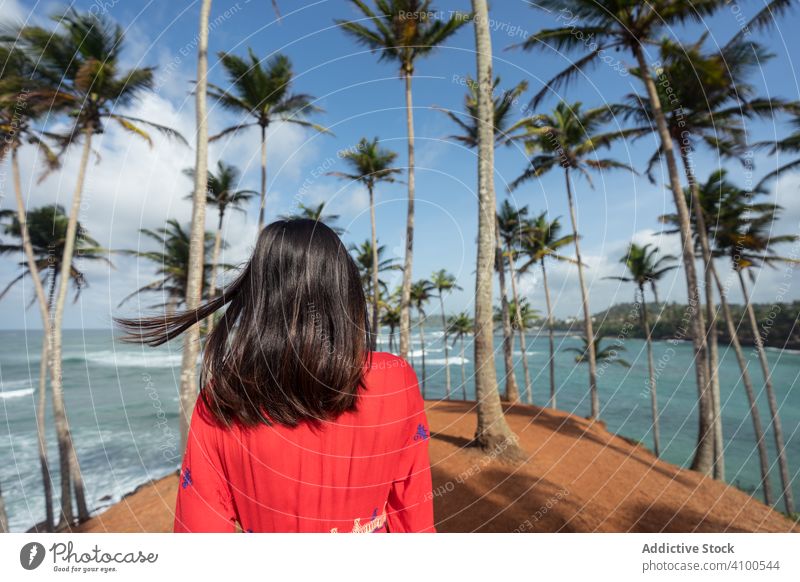 Tranquil female traveler among palms at seashore woman tourism summer vacation tree beach seaside ocean relaxation nature enjoy rest holiday lifestyle sunny