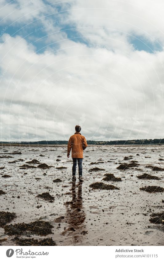 Traveler on wet sandy beach with seaweed during low tide traveler coast tourism horizon shore environment alga person tranquil littoral ebb scotland plant