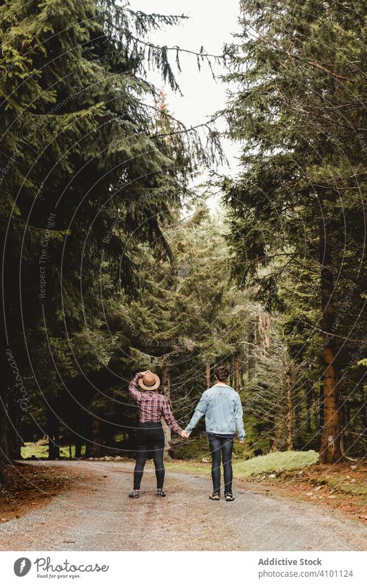 Couple walking on forest road couple holding hands together travel trees spruce landscape scotland scottish summer tourism young activity woods path way nature