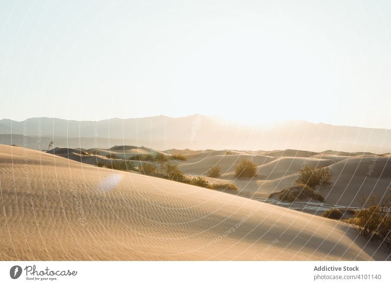 desert in dry sandy dunes in Death Valley USA death valley wanderlust travel vacation direction holiday summer freedom land tourism scenery destination natural