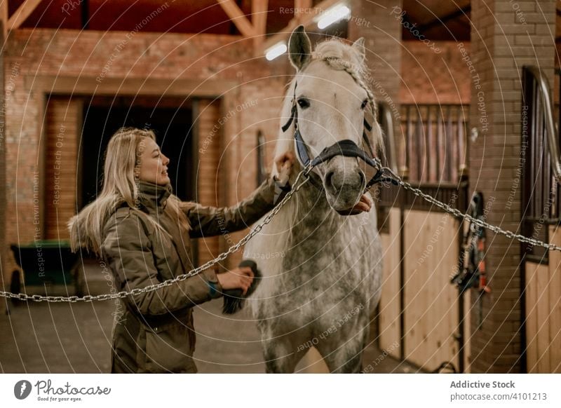 Woman hugging horse with long mane in face in stable woman pet stallion animal care dapple gray head muzzle white nature mammal bridle farm saddle field brown