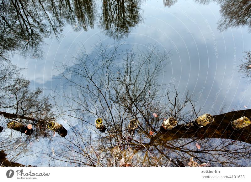 Water bodies in the Großer Tiergarten Evening Tree Berlin Beaver Germany Twilight Closing time Body of water big star Capital city Sky Island Deserted Middle