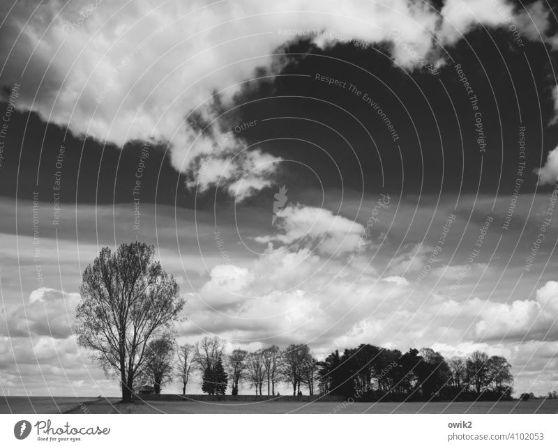 Cemetery in the Fläming Teltow-Fläming district Brandenburg lowland Deserted Exterior shot Beautiful weather Sky Clouds Horizon acre trees village edge Plain