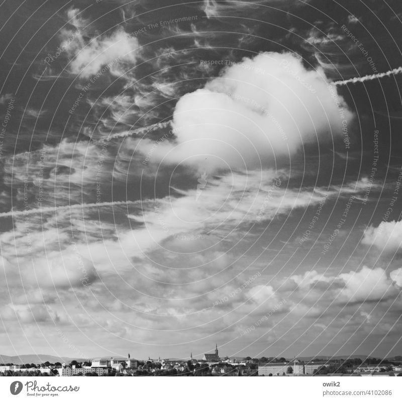 Clump Flight morning sky Black & white photo Twilight Bautzen Town Silhouette city silhouette Dome Church Church spire Exterior shot Skyline Downtown Small Town