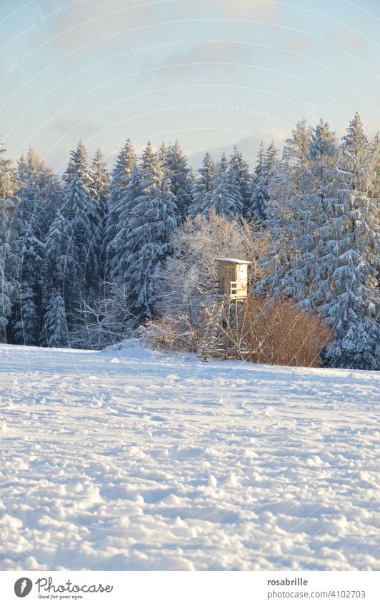 a high seat to observe the game also in the distance | far away Hunting Blind hunting Hunter hunter's seat Winter Snow Lonely Wait temporise persevere patience