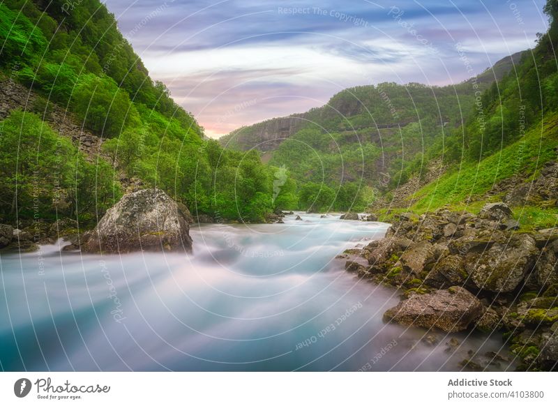 Foamy water stream flowing among green mountain floating foamy motion wet wave bright wild river travel fresh stone natural plant landscape nature scenic grass