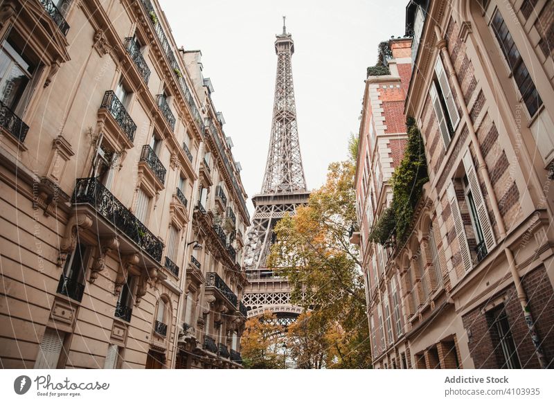 Eiffel Tower and aged buildings eiffel tower city paris france street landmark historical famous urban town ancient antique exterior construction place