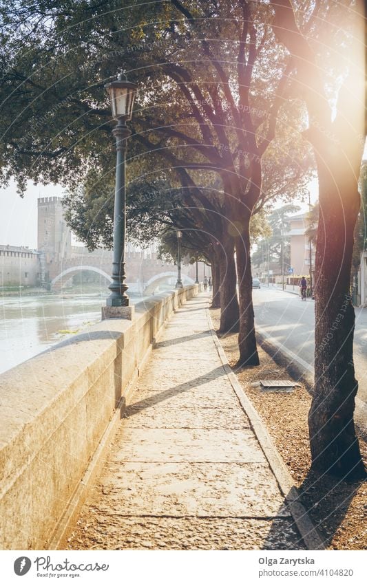 Beautiful morning light. sunlight mood italian european earope silence nobody embankment town sidewalk spring background tree nature street city travel banking