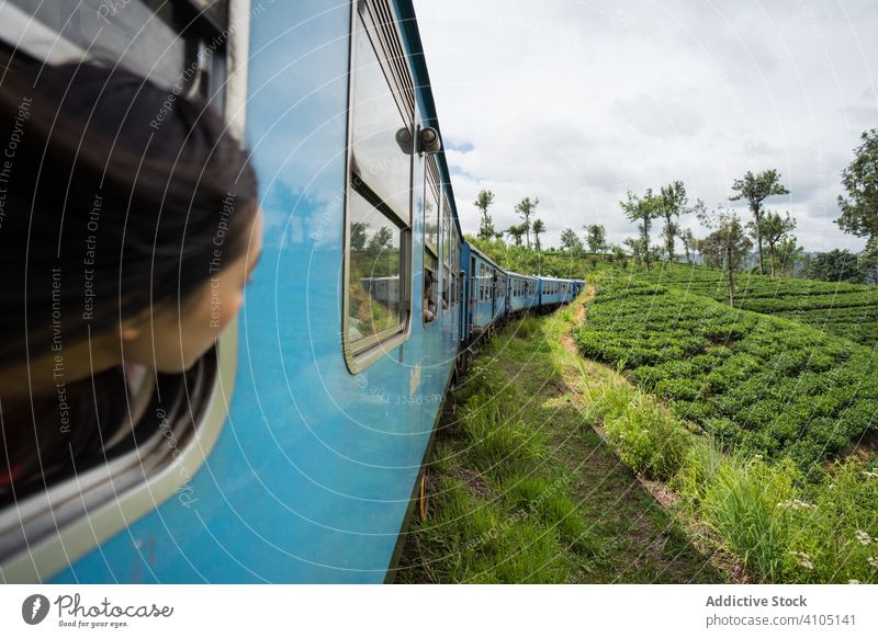 Resting Asian female taking train along green plants travel tourism woman smile enjoy laugh nature window railroad transportation journey asian trip sri lanka