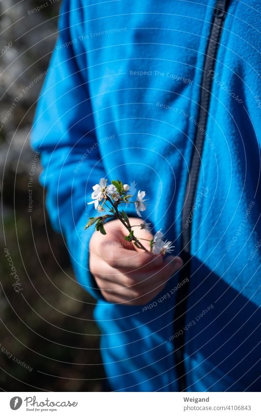 A blossom for Mother's Day Blossom Spring Gift Thank you. I'll take care of it. Gratitude Joy Child children Birthday Connectedness