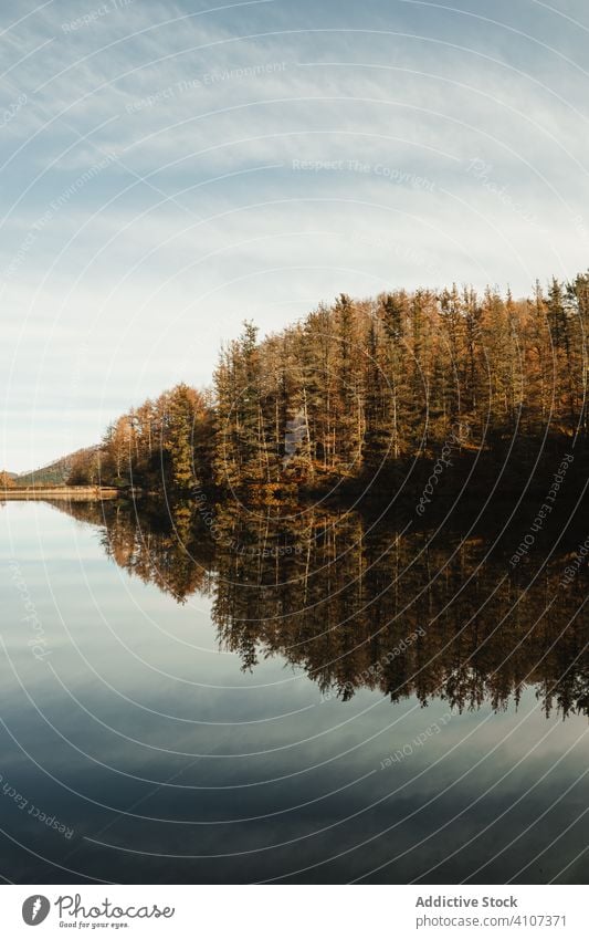 Lake and forest landscape with blue sky lake reflection tranquil nature scenic water hill mountain tree autumn beauty beautiful scenery woods plants fall clear