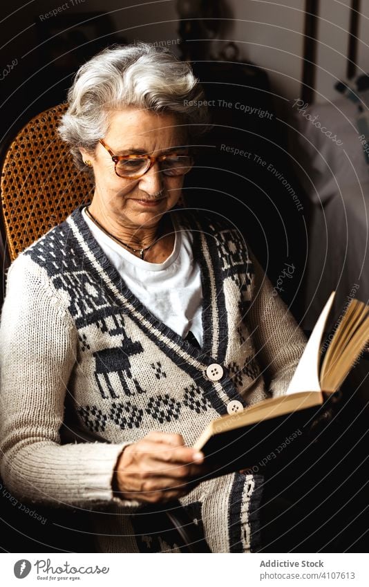 Elderly woman reading by window with enthusiasm book elderly knowledge literature concentrate information intelligent smart creative glasses relax hobby