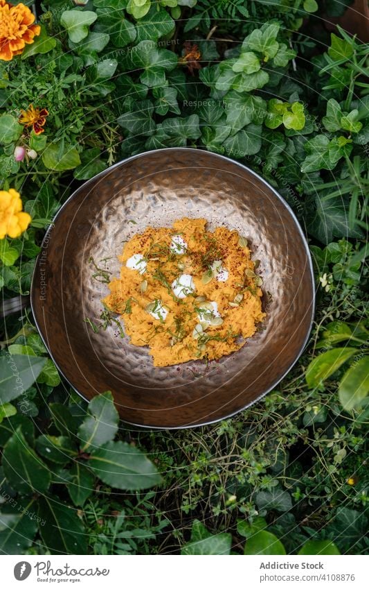 Tasty vegetable paste in bowl in garden vegetarian greens delicious food natural fresh organic cuisine healthy meal gourmet dish herb pumpkin rustic ingredient