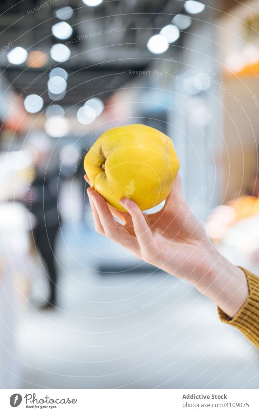 Crop customer showing ripe quince in shop fruit grocery fresh ingredient food raw vegan vegetarian healthy natural organic plant store contemporary client