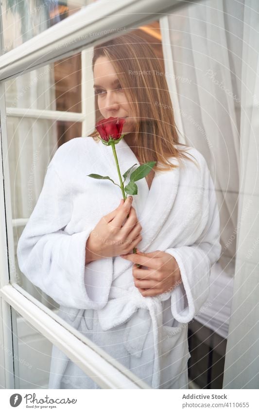 Pensive woman with aromatic flower looking out window dream rose hope think joy smile romantic honeymoon sentimental present gift happy pleasure pensive