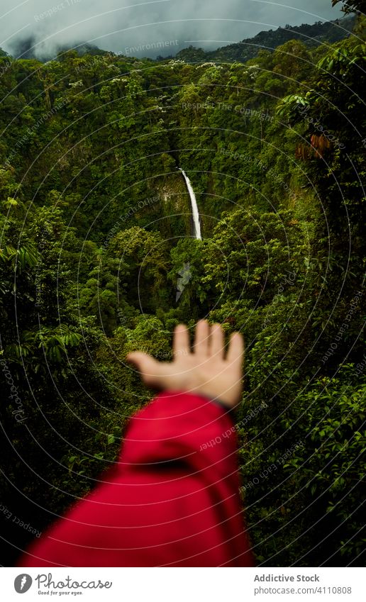 Crop traveler showing waterfall in jungle nature green countryside freedom summer costa rica forest cloudy outstretch tree harmony adventure calm journey season