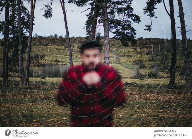 Anonymous man in peaceful green forest tree nature trunk countryside environment travel lifestyle tourism activity beautiful woods freedom tranquil wild season