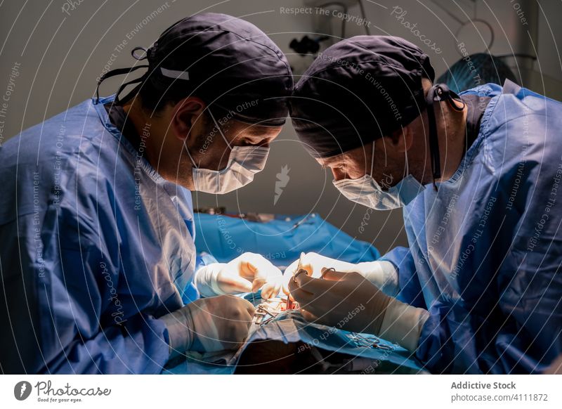 Veterinarian staff during surgery in modern clinic surgeon veterinarian hospital medic doctor treatment nurse work medical practitioner specialist veterinary