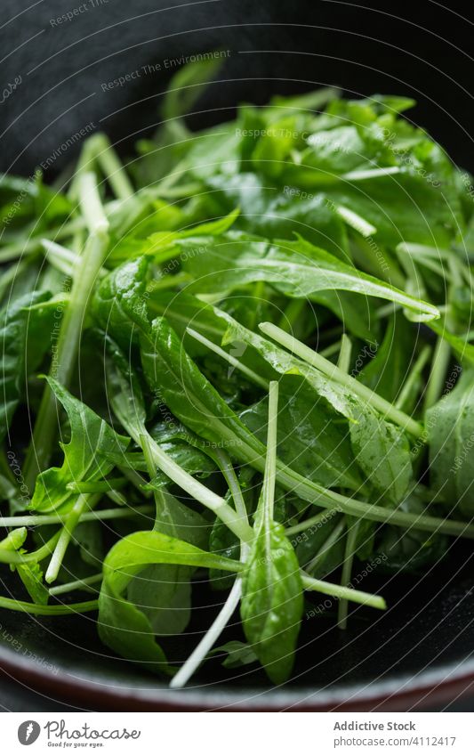 Fresh arugula salad in bowl cafeteria fresh food ingredient vegetable healthy vegan vitamin cuisine meal nutrition organic leaf green gourmet delicious dish