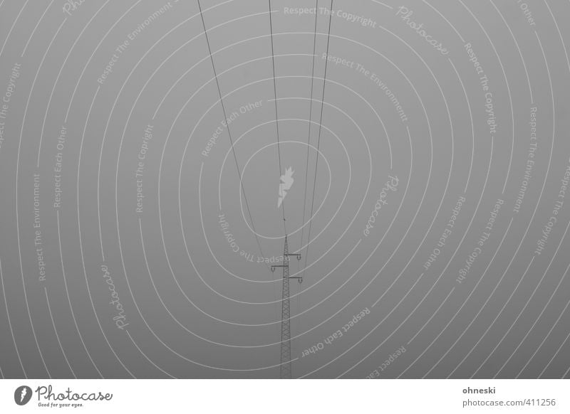 Energy Cable Energy industry Environment Bad weather Fog Electricity pylon Gray Loneliness Environmental pollution Colour photo Subdued colour Exterior shot