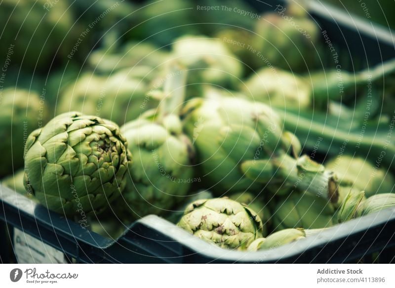 Boxes with artichokes on farm box ripe harvest agriculture organic plantation green cultivate countryside nature field food fresh rural vegetable growth