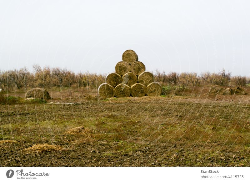 Hay bales on the field after harvest, hay farm landscape meadow nature summer sky natural sunrise grass agriculture rural autumn countryside beautiful blue