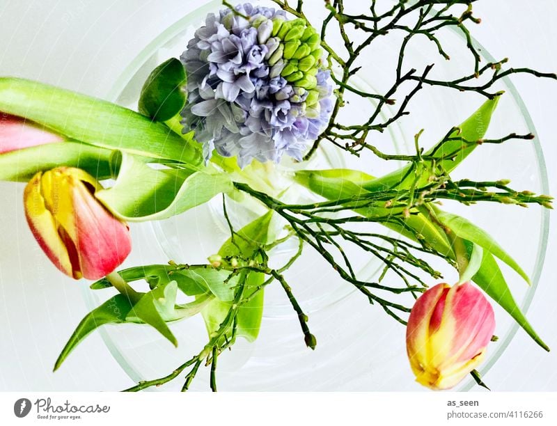 spring flowers tulips Tulip Hyacinthus Spring Bouquet Blossom Flower Plant Nature Green pretty Blossoming Decoration Red Pink Interior shot Day Colour photo