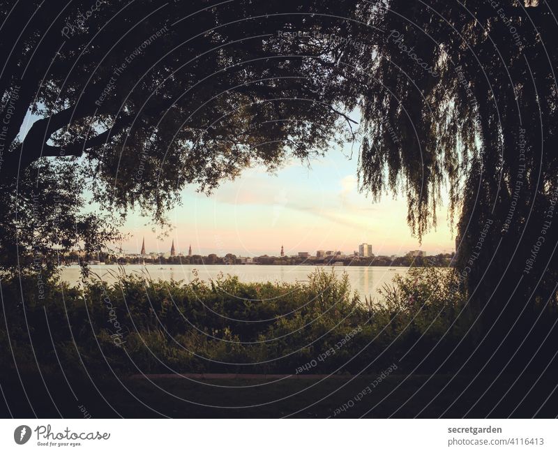 See the big picture Picturesque Vantage point Hamburg Alster Horizon Exterior shot tawdry Skyline Deserted Lake Town Banks of the Alster alsterblick Lake Alster