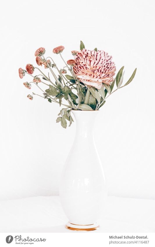 filigree pink flower bouquet in white vase with golden rim Flower Plant Ornamental plant pretty Calm schedules calm quiet Green green silent Still Life