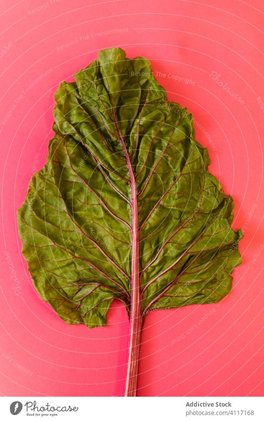 Beetroot leave on pink background vegetable healthy composition fresh ripe beetroot leaf colorful bright half green vibrant vegan natural plant ingredient diet