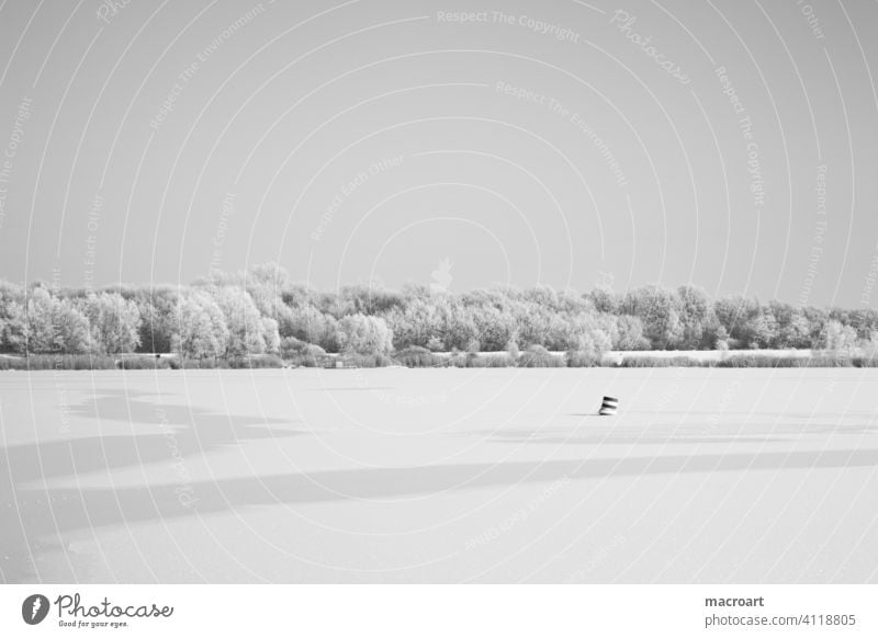 Frozen lake winter landscape Winter Lake frozen Ice Ice Sheet Season icily chill Cold White Gray Day Tracks trees Snow layer Landscape