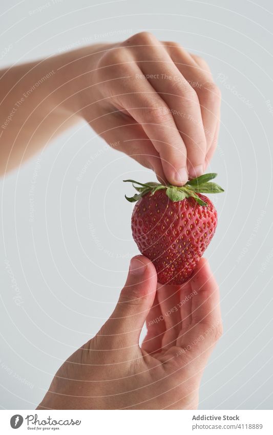 Crop child showing ripe strawberries strawberry home summer fresh food sweet kid fruit healthy snack little childhood ingredient demonstrate organic natural