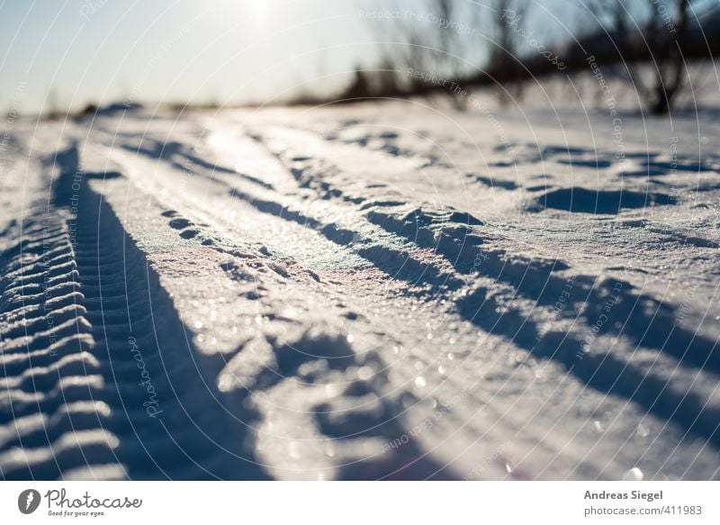 tracks Skiing Nature Landscape Earth Sun Winter Climate Beautiful weather Ice Frost Snow Line Stripe Ski tracks Cross-country ski trail Glittering Cold Blue