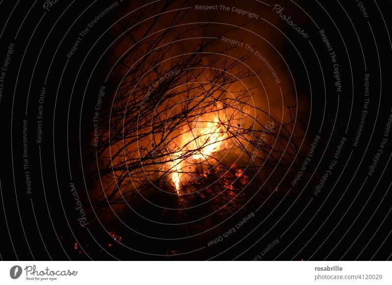 Inferno | Illusion Fire Blaze Forest fire campfire Easter fire blaze Hot Wood Warmth warm ardor Light Bright Night Burn incinerate sb./sth. peril Dangerous