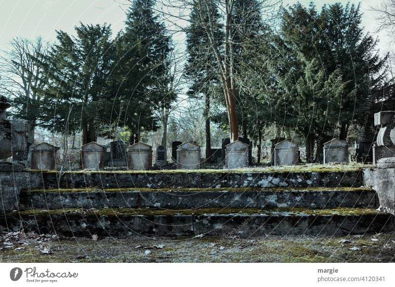 Old Jewish cemetery with gravestones and stairs Cemetery Vintage Historic Jews Star of David Tombstone Multiple Exterior shot Stone Grief Deserted Death Grave