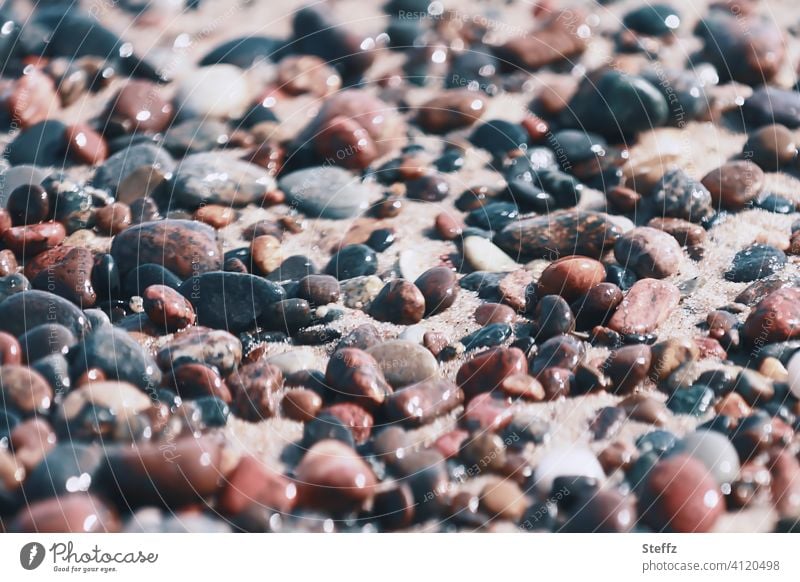 Stones on the beach of the Baltic Sea on a beautiful spring day Pebble beach stones Baltic beach Sunlight Beach Baltic Sea holiday Walk on the beach April