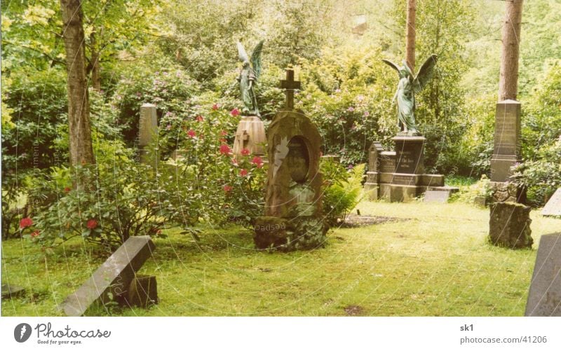 Colourful floats in the cemetery Green Cemetery Tombstone Blossoming Plant