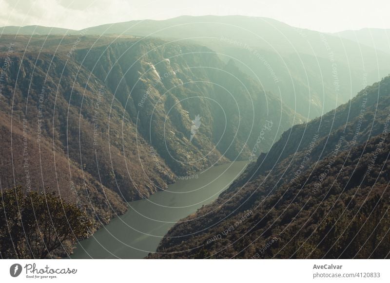 Close up of a super massive river in the middle of the forest during a spring day with copy space liberty concept panorama wild fantastic stream travelling