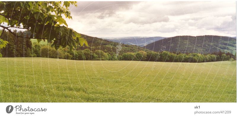 Mountain panorama with meadow and tree Tree Leaf Field Meadow Green Beautiful Clouds Thueringer Wald Far-off places Panorama (View) Thuringia Idyll Nature Sky